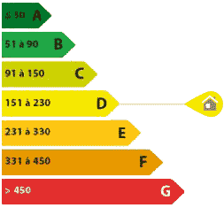 diagnostic immobilier DPE d