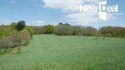 Vente Terrain Beynat  19190 31080 m2