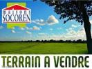 Vente Terrain Mesnil-aubert  50510 1129 m2