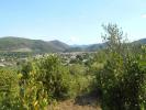 Vente Terrain Lodeve  34700 2856 m2