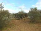 Vente Terrain Uzes  30700 9299 m2