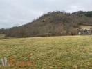 Vente Terrain Saint-julien-du-pinet  43200 2343 m2