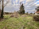 Vente Terrain Chateauneuf-sur-loire  45110 1032 m2