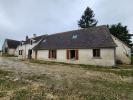 Vente Maison Chatillon-sur-indre  36700 7 pieces 240 m2