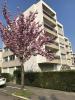 Vente Appartement Colmar  68000 3 pieces 77 m2