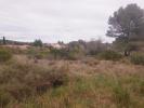 Vente Terrain Pignan  34570 326 m2