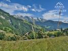 Vente Terrain Grand-bornand  74450 6095 m2