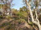 Vente Terrain Ceret  66400 20000 m2