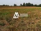 Vente Terrain Abscon  59215 551 m2