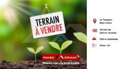 Vente Terrain Tampon  97430 546 m2