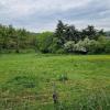 Vente Terrain Saint-romain-d'ay  07290 1694 m2