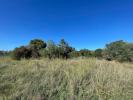 Vente Terrain Arles  13200 380 m2