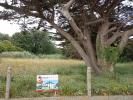 Vente Terrain Bernieres-sur-mer  14990 391 m2