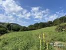 Vente Terrain Saint-sernin-du-bois  71200 1636 m2