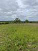 Vente Terrain Boisseuil  87220 3000 m2