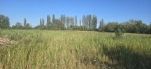 Vente Terrain Narbonne  11100 6115 m2