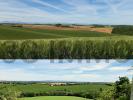 Vente Maison Villefranche-de-lauragais  31290 16 pieces 462 m2