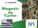 Vente Commerce Bain-de-bretagne 35470