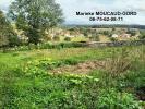 Vente Terrain Beauzac  43590 1007 m2