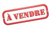 Vente Local commercial Chalonnes-sur-loire  49290 53 m2