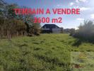 Vente Terrain Plesder  35720 2656 m2