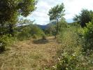 Vente Terrain Lodeve  34700 2856 m2