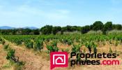 Vente Maison Vidauban  83550 8 pieces 226 m2