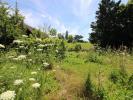 Vente Terrain Beaune  21200 2000 m2