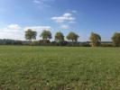 Vente Terrain Grazac  31190 500 m2