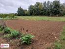 Vente Terrain Villiers-en-plaine  79160 770 m2