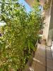 Vente Appartement Marseille-13eme-arrondissement  13013 3 pieces 58 m2