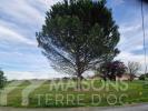 Vente Terrain Gaillac  81600 1206 m2