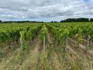 Vente Domaine agricole Saint-estephe  33180 3400 m2