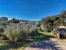 Vente Terrain Puget-sur-argens  83480 460 m2