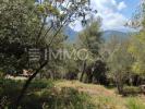 Vente Terrain Saint-martin-du-var  06670 1026 m2