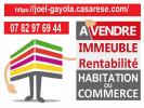 Vente Immeuble Chaingy  45380 264 m2