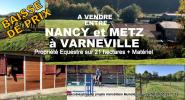 Vente Maison Metz  57000 8 pieces 220 m2