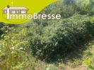 Vente Terrain Montrevel-en-bresse  01340 1196 m2