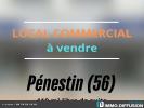 Vente Maison Penestin  56760 110 m2