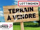 Vente Terrain Lottinghen  62240 2000 m2