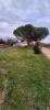 Vente Terrain Charmes-sur-rhone  07800 493 m2