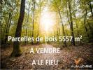 Vente Terrain Fieu  33230 5755 m2