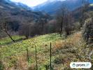 Vente Terrain Uchentein  09800 20000 m2