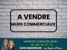 Vente Local commercial Entraigues-sur-la-sorgue  84320 350 m2