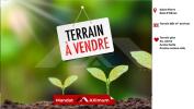 Vente Terrain Ravine-des-cabris  97432 861 m2