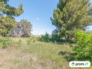 Vente Terrain Marseillan  34340 569 m2