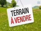 Vente Terrain Plaine-des-palmistes  97431