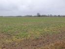 Vente Terrain Lignan-de-bordeaux  33360 800 m2