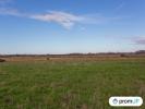 Vente Terrain Varzay  17460 8912 m2