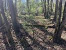 Vente Domaine forestier Puymirol 47270 5500 m2